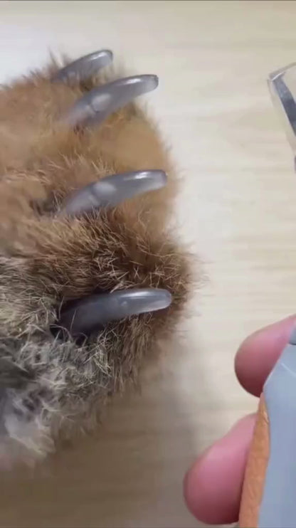 Wiederaufladbare LED-Krallenschere (für Katzen und Hunde)